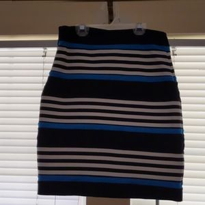 Express Skirt